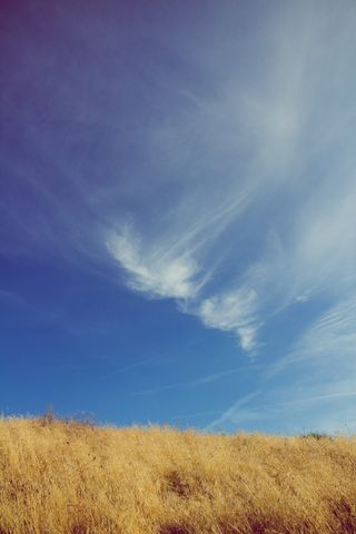 美国，瓦拉瓦拉，惠特曼使命国家历史遗址，天空，金色，草地，金色，黄色