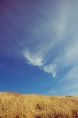 美国，瓦拉瓦拉，惠特曼使命国家历史遗址，天空，金色，草地，金色，黄色