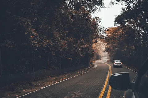 森林, 汽车, 街道, 道路, 公路, 秋天, 树, 交通
