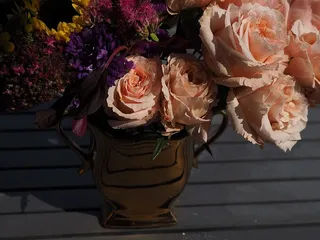 花瓶，玫瑰，粉色，阳光，花朵，开花植物，植物，脆弱性