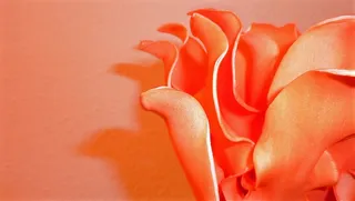 人造花，花，颜色，色调，自然，环境，特写，室内