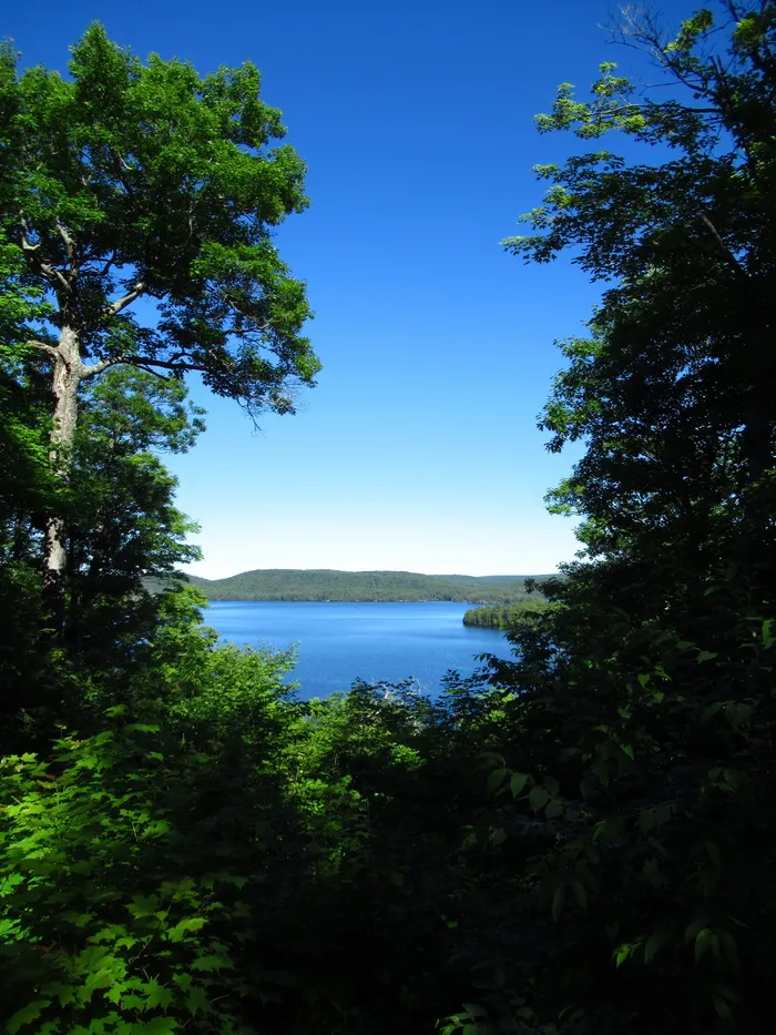 森林、湖泊、水、景观、户外、森林、夏天、风景