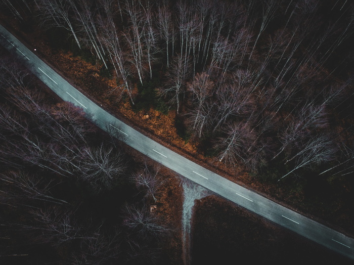 道路和树木的鸟瞰摄影
