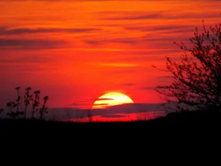 日落，太阳，红色，天空，火，在晚上，云，大自然的美丽