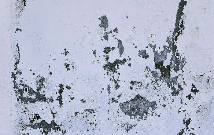 纹理、混凝土、自然、户外、雪、污渍、柏油、风景