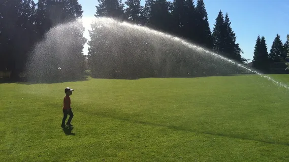 奇迹、水、孩子、植物、一个人、草、休闲活动、自然