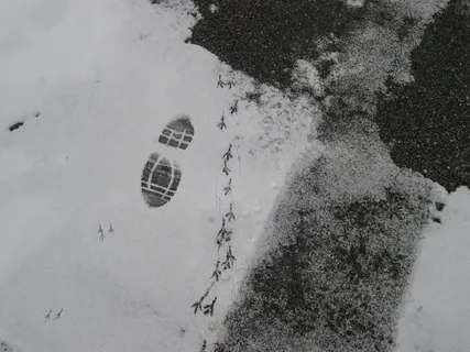 指纹,雪,小鸟,足球,一个人,球,海滩,足球 指纹,雪,小鸟,足球,一个人,球,海滩,足球