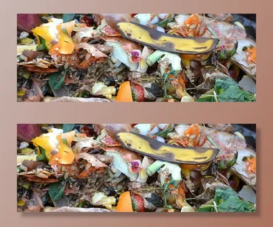 堆肥、水果、蔬菜废料、堆肥、香蕉、果皮、食品、树叶 堆肥、水果、蔬菜废料、堆肥、香蕉、果皮、食品、树叶