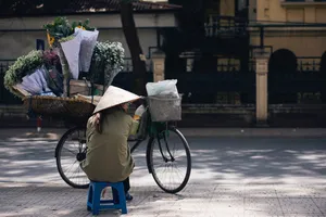 街道、小贩、卖家、人、女人、帽子、坐姿、鲜花