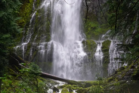 美国,代理瀑布,瀑布,风景-自然,自然之美,森林,树木,长时间曝光 美国,代理瀑布,瀑布,风景-自然,自然之美,森林,树木,长时间曝光