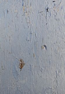 地毯、木材、纹理、户外、水、波纹、家居装饰、板岩