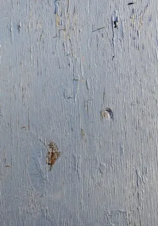 地毯、木材、纹理、户外、水、波纹、家居装饰、板岩