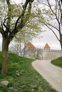 Kuressaare城堡，萨雷马，爱沙尼亚，旅游地点，教堂，建筑，历史，树木