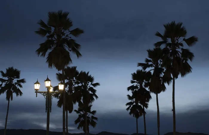 摄像机，Noch，树，自然，Noch e，天空，树，云