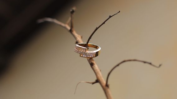 联盟，婚姻，自然，特写，无人，关注前景，植物，戒指