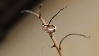 联盟，婚姻，自然，特写，无人，关注前景，植物，戒指