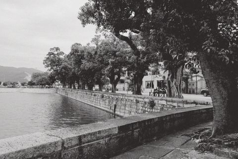 澳门，西湾，景观，树木，植物，自然，水，白天