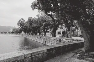 澳门，西湾，景观，树木，植物，自然，水，白天