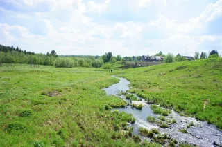 河流，绿色，卵石，自然，夏天，ok，植物，水
