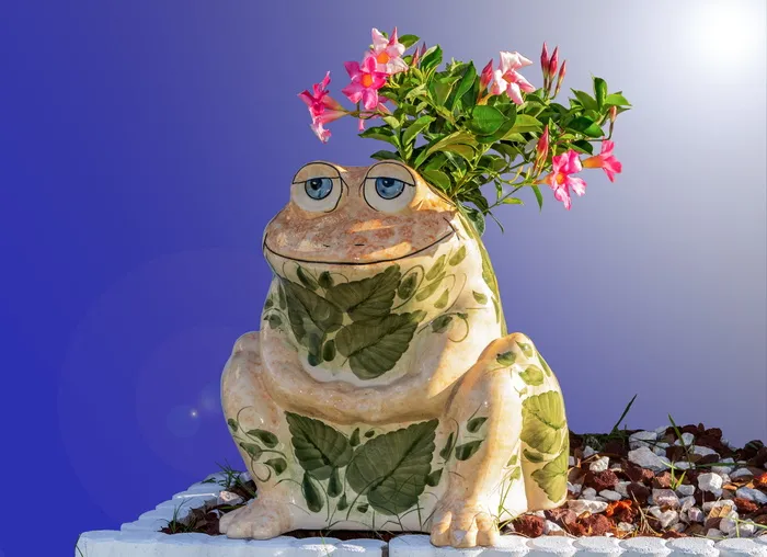 蟾蜍、瓷器、花盆、花卉、花园、大自然、一种动物、脊椎动物