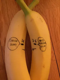 幽默，有趣，有趣，可爱，笑，笑话，幽默，水果