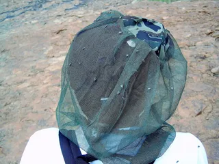 动物，苍蝇，滋扰，毛网，保护，昆虫，害虫，狡猾