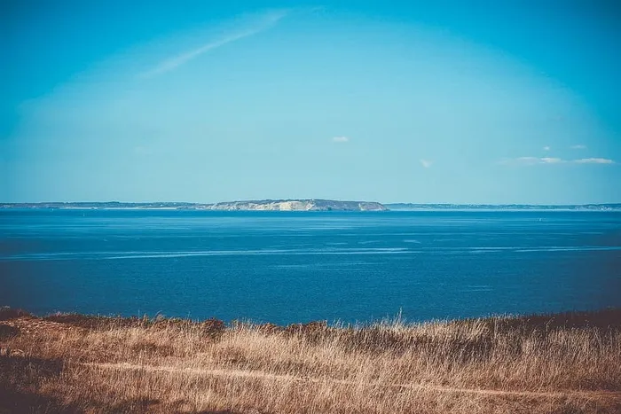棕色，草，前面，海，风景，摄影，近处，身体