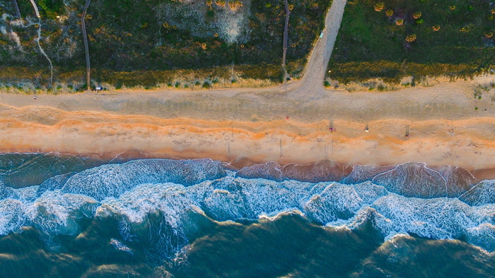 海滩画, 海洋, 附近, 森林, 绘画, 海, 水, 波浪