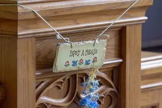 木材，胶合板，硬木，乔安娜，sc，美国，旧校舍，树木，植物