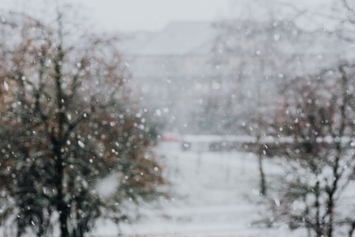 有汽车的雪地街道