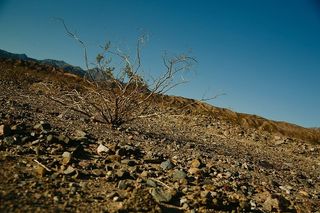 干旱、贫瘠、沙漠、干旱、干旱、地面、景观、山脉