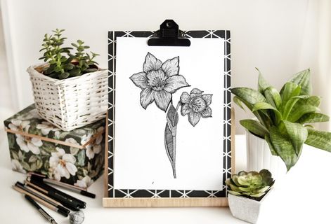 黑花素描 黑花素描