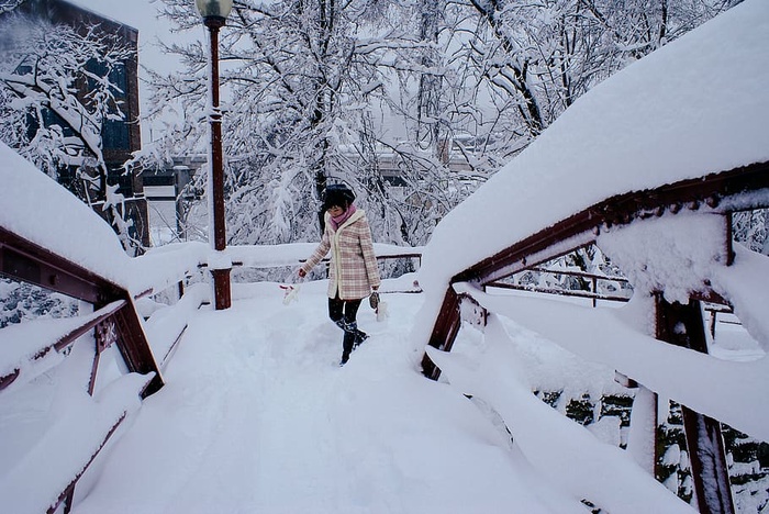 寒冷，人，雪，积雪，树，天气，冬天，女人