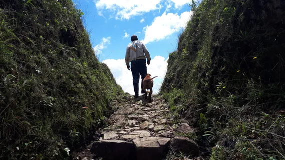 哥伦比亚，támesis，don raul，cuchilla tamesis-jardin，ok web，plant，rear view，real people