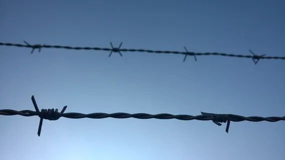 带刺铁丝网,符号,已捕获,安全,防护,安全,铁丝网,金属 带刺铁丝网,符号,已捕获,安全,防护,安全,铁丝网,金属