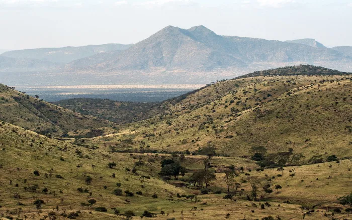 肯尼亚, isiolo, lewa 野生动物保护区, 东非, 非洲, 非洲山丘, lewa 保护区, 非洲照片