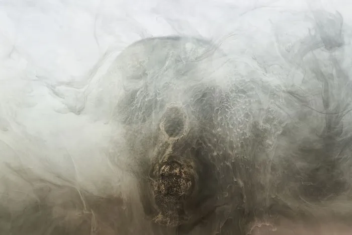 灰色，骷髅，干性头部，骷髅，死亡，死亡，骨头，深色