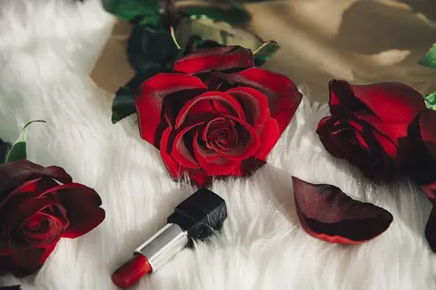 红玫瑰和唇膏照片 红玫瑰和唇膏照片
