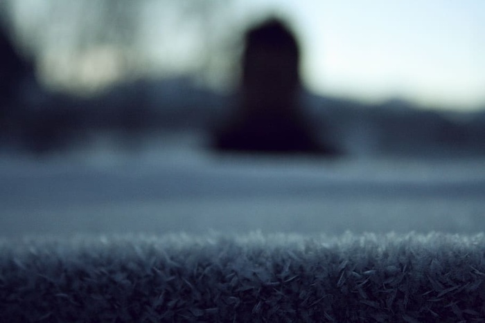 冰，雪花，植物，自然，户外，无人，选择性聚焦，白天