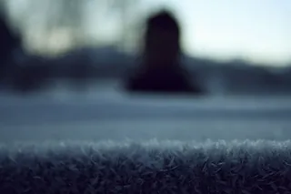 冰，雪花，植物，自然，户外，无人，选择性聚焦，白天