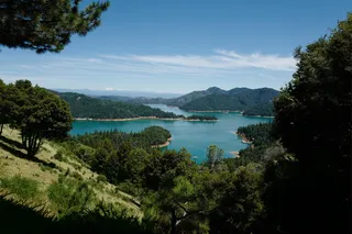 山，身体，水，被包围，树，被覆盖，高地，山