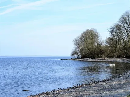 大海,湖泊,丹麦波罗的海海岸,小海湾,地下多石,宁静的湖泊,天鹅,明亮的蓝天 大海,湖泊,丹麦波罗的海海岸,小海湾,地下多石,宁静的湖泊,天鹅,明亮的蓝天