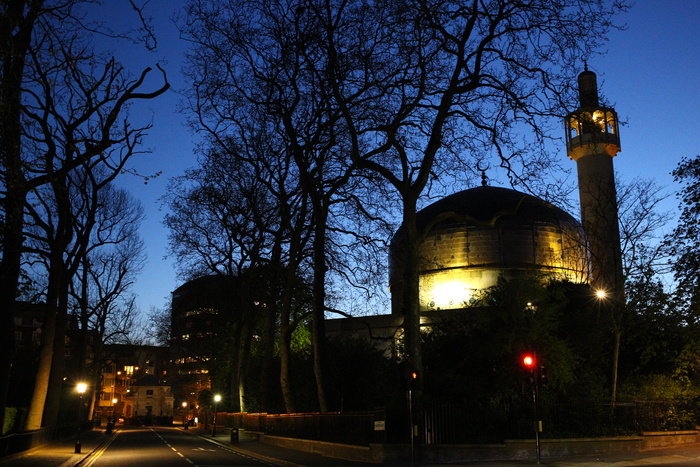 英国伦敦，伦敦*清真寺，清真寺，伊斯兰教，照明，建筑外观，树木