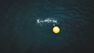 水体，水，黄色，高角度视野，海洋，游泳，自然，海滨