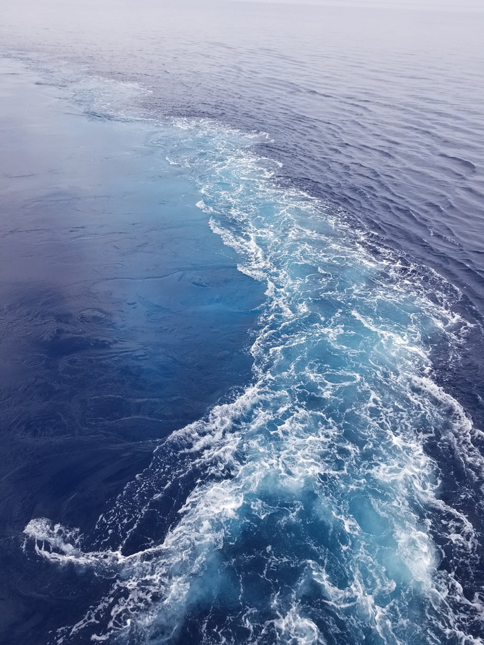 海洋，尾迹，水，波浪，船，蓝色，海洋，巡航