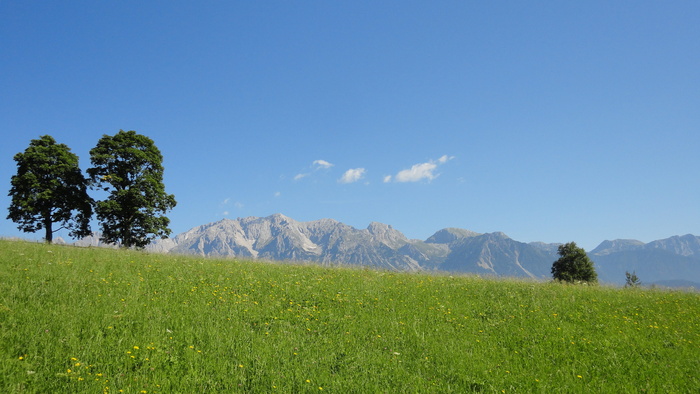 Dachstein、Ennstal、Ramsau、Summer、meadow、landscape、austria、alpine