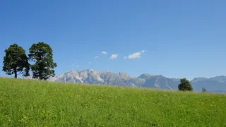 Dachstein、Ennstal、Ramsau、Summer、meadow、landscape、austria、alpine