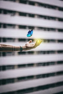 蓝色，形态蝴蝶，左侧，人类，手，蝴蝶，建筑，桌面