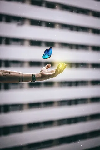 蓝色，形态蝴蝶，左侧，人类，手，蝴蝶，建筑，桌面