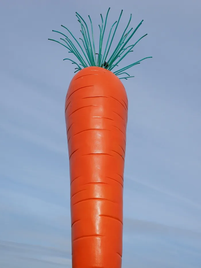 Carrot、Le Roi Carotte、Rosalie、red、madaris、ostfildern、esslingen、scharnhauser park